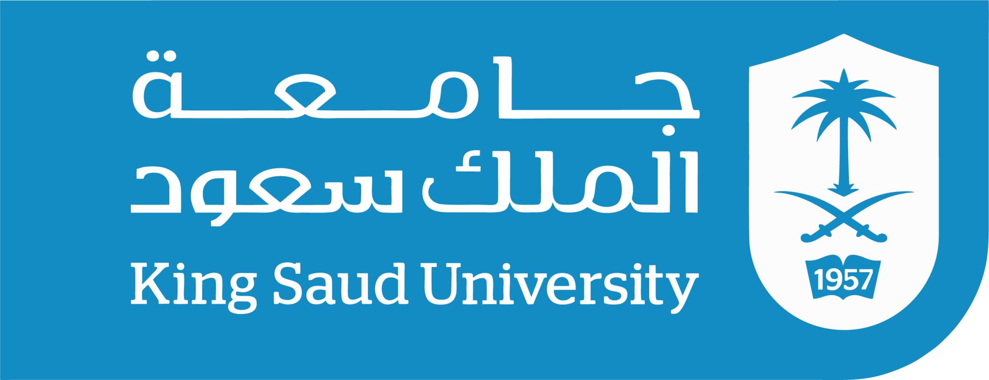 king saud university